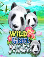 เติม ส ปิ น ใน เกม coin master อย่างไรให้ปัง!